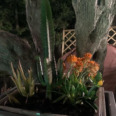 B&B Villa Del Sole Relais Agrigento Kültér fotó